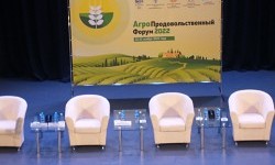 Аренда стульев